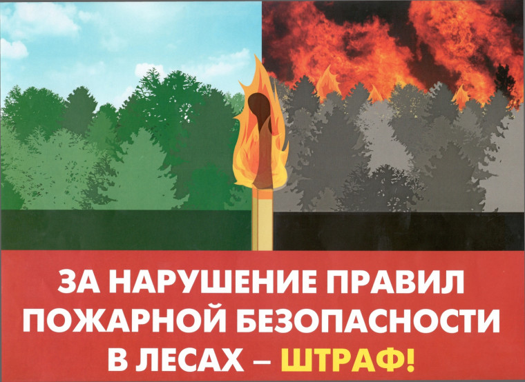 Ответственность за нарушение правил пожарной безопасности в лесах. Ответственность за нарушение правил пожарной безопасности в лесах.